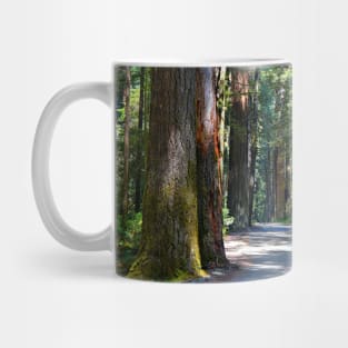 California Redwoods Mug